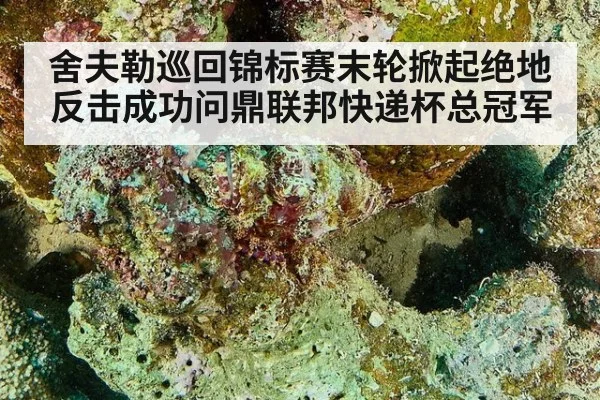 舍夫勒巡回锦标赛末轮掀起绝地反击成功问鼎联邦快递杯总冠军